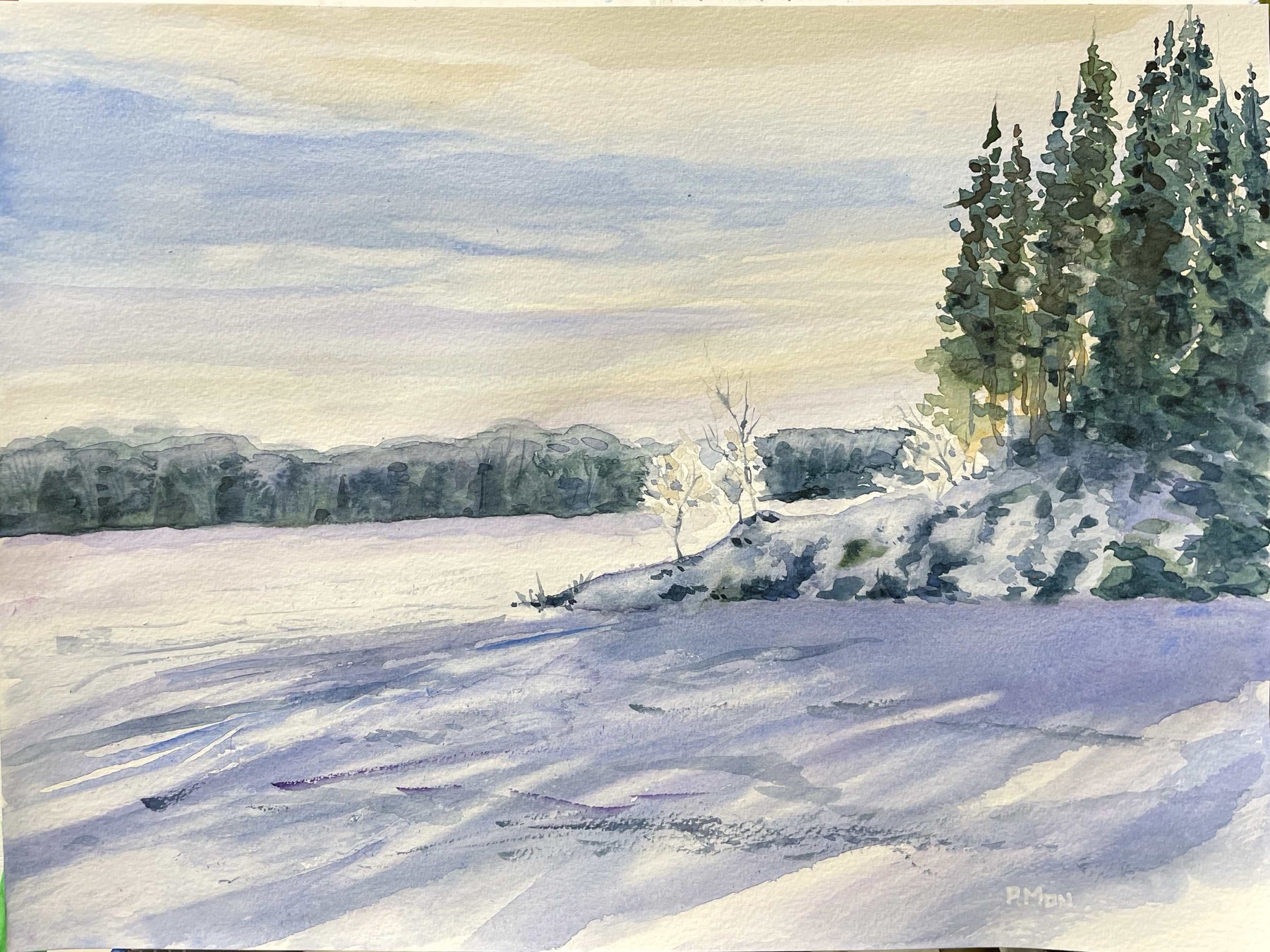 Winter Shadow